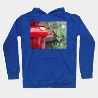 Refreshment Hoodie